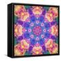Composing of Bright Coloured Flowers in Symmetrical Arrangement, Mandala-Alaya Gadeh-Framed Stretched Canvas