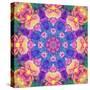 Composing of Bright Coloured Flowers in Symmetrical Arrangement, Mandala-Alaya Gadeh-Stretched Canvas