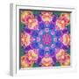 Composing of Bright Coloured Flowers in Symmetrical Arrangement, Mandala-Alaya Gadeh-Framed Photographic Print