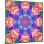 Composing of Bright Coloured Flowers in Symmetrical Arrangement, Mandala-Alaya Gadeh-Mounted Photographic Print
