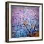 Composing of Coloured Branches-Alaya Gadeh-Framed Photographic Print