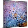 Composing of Coloured Branches-Alaya Gadeh-Mounted Photographic Print
