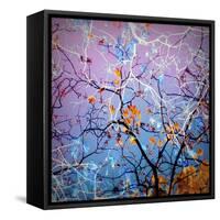 Composing of Coloured Branches-Alaya Gadeh-Framed Stretched Canvas