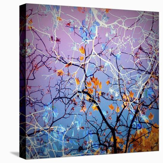 Composing of Coloured Branches-Alaya Gadeh-Stretched Canvas