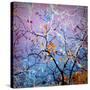 Composing of Coloured Branches-Alaya Gadeh-Stretched Canvas