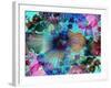 Composing of Coloured Flowers-Alaya Gadeh-Framed Photographic Print