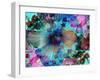 Composing of Coloured Flowers-Alaya Gadeh-Framed Photographic Print