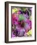 Composing of Coloured Flowers-Alaya Gadeh-Framed Photographic Print