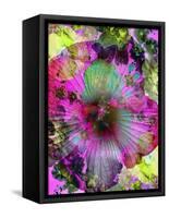 Composing of Coloured Flowers-Alaya Gadeh-Framed Stretched Canvas