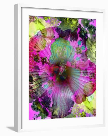 Composing of Coloured Flowers-Alaya Gadeh-Framed Photographic Print