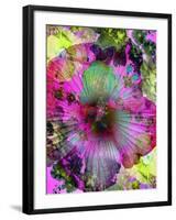 Composing of Coloured Flowers-Alaya Gadeh-Framed Photographic Print