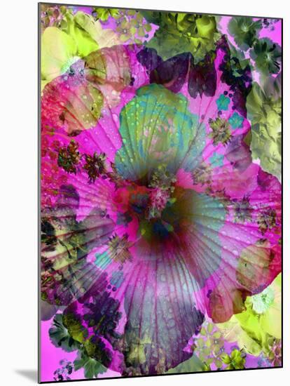 Composing of Coloured Flowers-Alaya Gadeh-Mounted Photographic Print