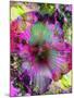 Composing of Coloured Flowers-Alaya Gadeh-Mounted Photographic Print