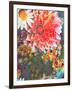 Composing of Coloured Flowers-Alaya Gadeh-Framed Photographic Print