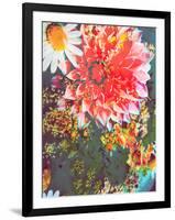 Composing of Coloured Flowers-Alaya Gadeh-Framed Photographic Print