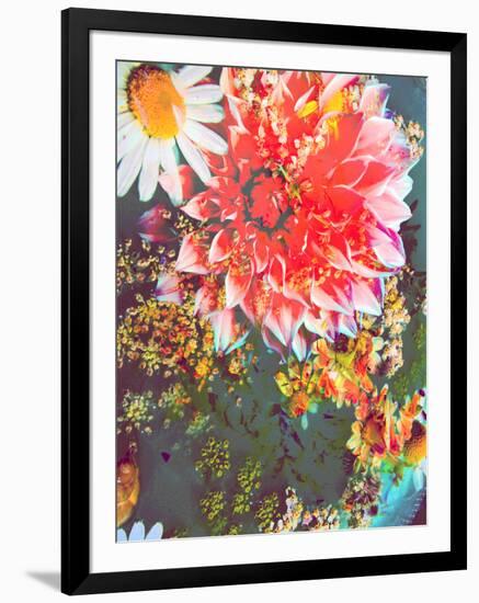 Composing of Coloured Flowers-Alaya Gadeh-Framed Photographic Print