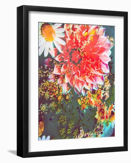 Composing of Coloured Flowers-Alaya Gadeh-Framed Photographic Print