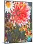 Composing of Coloured Flowers-Alaya Gadeh-Mounted Photographic Print