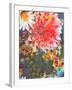 Composing of Coloured Flowers-Alaya Gadeh-Framed Photographic Print