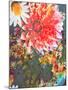 Composing of Coloured Flowers-Alaya Gadeh-Mounted Photographic Print