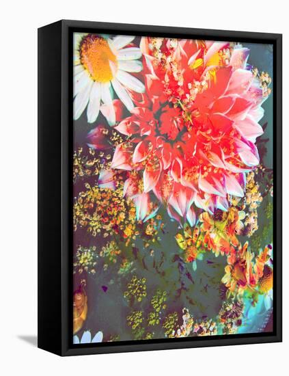 Composing of Coloured Flowers-Alaya Gadeh-Framed Stretched Canvas