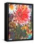 Composing of Coloured Flowers-Alaya Gadeh-Framed Stretched Canvas