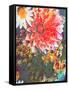 Composing of Coloured Flowers-Alaya Gadeh-Framed Stretched Canvas