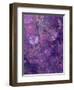 Composing of Flowers and Branches, Abstract, Mauve-Alaya Gadeh-Framed Photographic Print