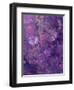 Composing of Flowers and Branches, Abstract, Mauve-Alaya Gadeh-Framed Photographic Print