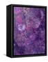 Composing of Flowers and Branches, Abstract, Mauve-Alaya Gadeh-Framed Stretched Canvas