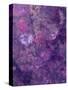 Composing of Flowers and Branches, Abstract, Mauve-Alaya Gadeh-Stretched Canvas