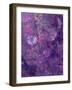 Composing of Flowers and Branches, Abstract, Mauve-Alaya Gadeh-Framed Photographic Print