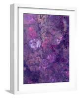 Composing of Flowers and Branches, Abstract, Mauve-Alaya Gadeh-Framed Photographic Print