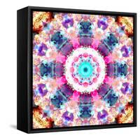 Composing of Flowers in a Mandala Ornament-Alaya Gadeh-Framed Stretched Canvas