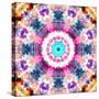 Composing of Flowers in a Mandala Ornament-Alaya Gadeh-Stretched Canvas