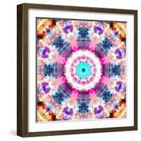 Composing of Flowers in a Mandala Ornament-Alaya Gadeh-Framed Photographic Print