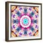 Composing of Flowers in a Mandala Ornament-Alaya Gadeh-Framed Photographic Print