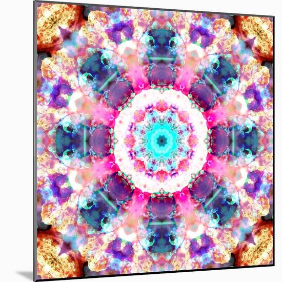 Composing of Flowers in a Mandala Ornament-Alaya Gadeh-Mounted Photographic Print