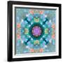 Composing of Flowers in a Mandala Ornament-Alaya Gadeh-Framed Photographic Print