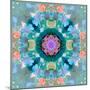 Composing of Flowers in a Mandala Ornament-Alaya Gadeh-Mounted Photographic Print