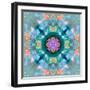 Composing of Flowers in a Mandala Ornament-Alaya Gadeh-Framed Photographic Print