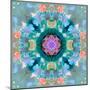 Composing of Flowers in a Mandala Ornament-Alaya Gadeh-Mounted Photographic Print