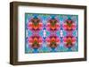 Composing of Flowers in Symmetrical Arrangement-Alaya Gadeh-Framed Photographic Print