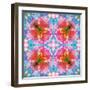 Composing of Flowers in Symmetrical Arrangement-Alaya Gadeh-Framed Photographic Print