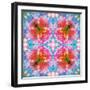 Composing of Flowers in Symmetrical Arrangement-Alaya Gadeh-Framed Photographic Print