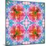 Composing of Flowers in Symmetrical Arrangement-Alaya Gadeh-Mounted Photographic Print