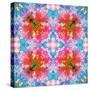 Composing of Flowers in Symmetrical Arrangement-Alaya Gadeh-Stretched Canvas