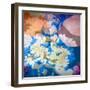 Composing of Flowers-Alaya Gadeh-Framed Photographic Print