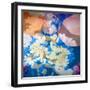 Composing of Flowers-Alaya Gadeh-Framed Photographic Print