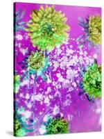 Composing of Green-Yellow Blossoms in Pink Water with White Flowering Branch-Alaya Gadeh-Stretched Canvas